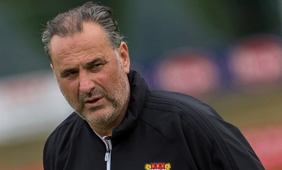 Божович: Отставка Стойковича? Такие поражения в Сербии не прощают. Фото: Global Look Press