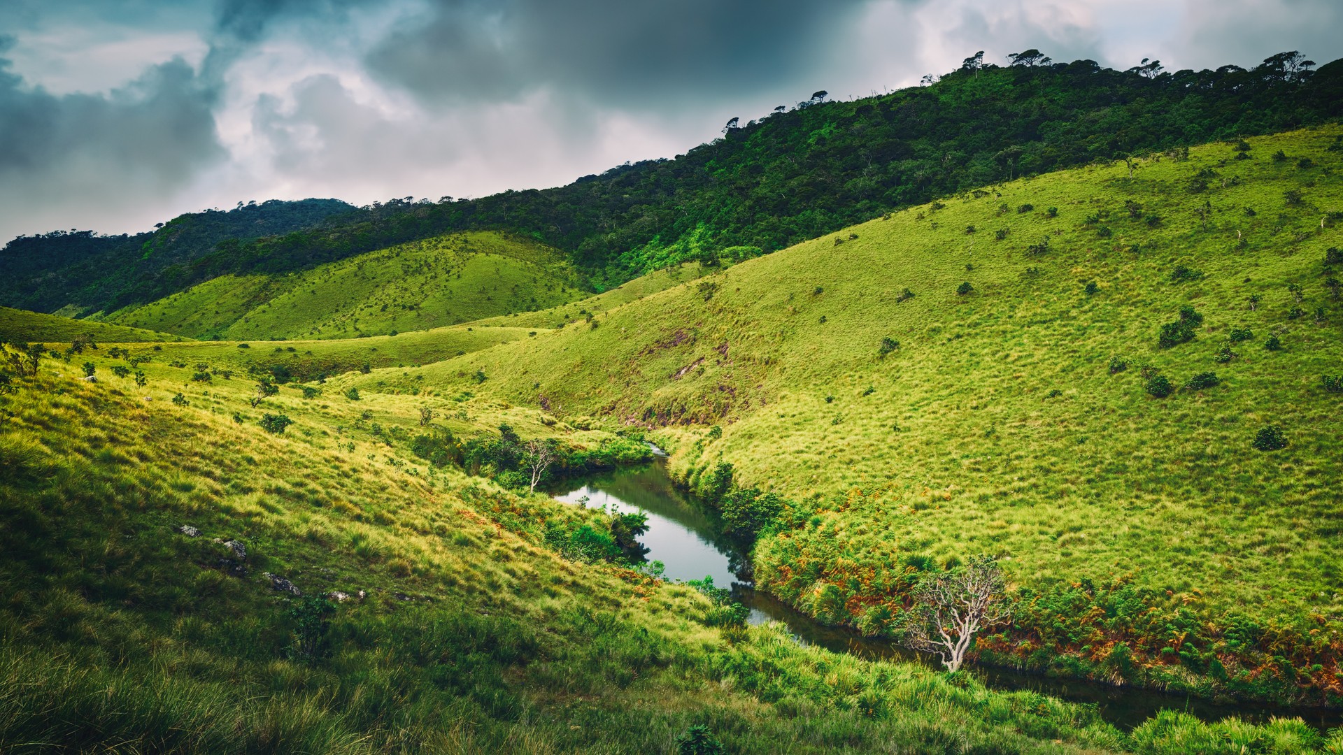 Прекрасный вид на Хортон-Плейнс.