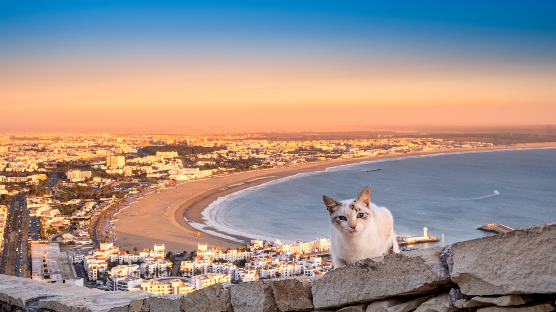 Панорамный вид на кота и город Агадир и залив в южной части Марокко.
